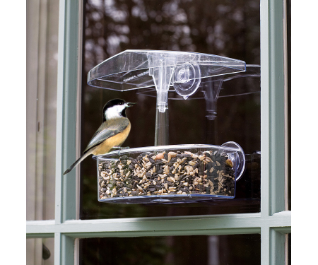Observer Window Bird Feeder – Droll Yankees – 2 Cups